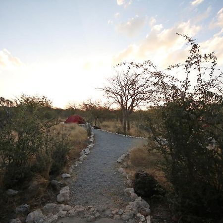 Etosha Village Campsite Okaukuejo Εξωτερικό φωτογραφία