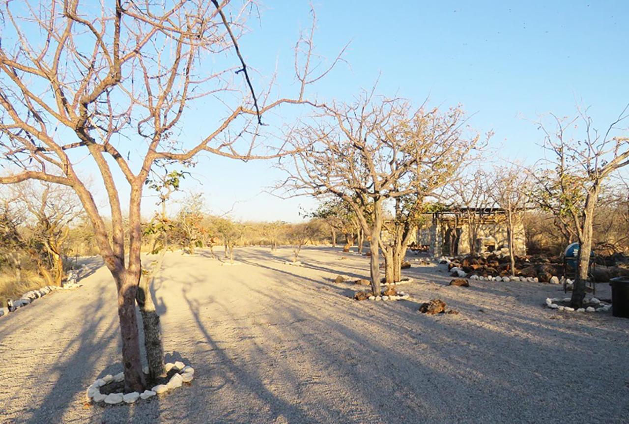 Etosha Village Campsite Okaukuejo Εξωτερικό φωτογραφία