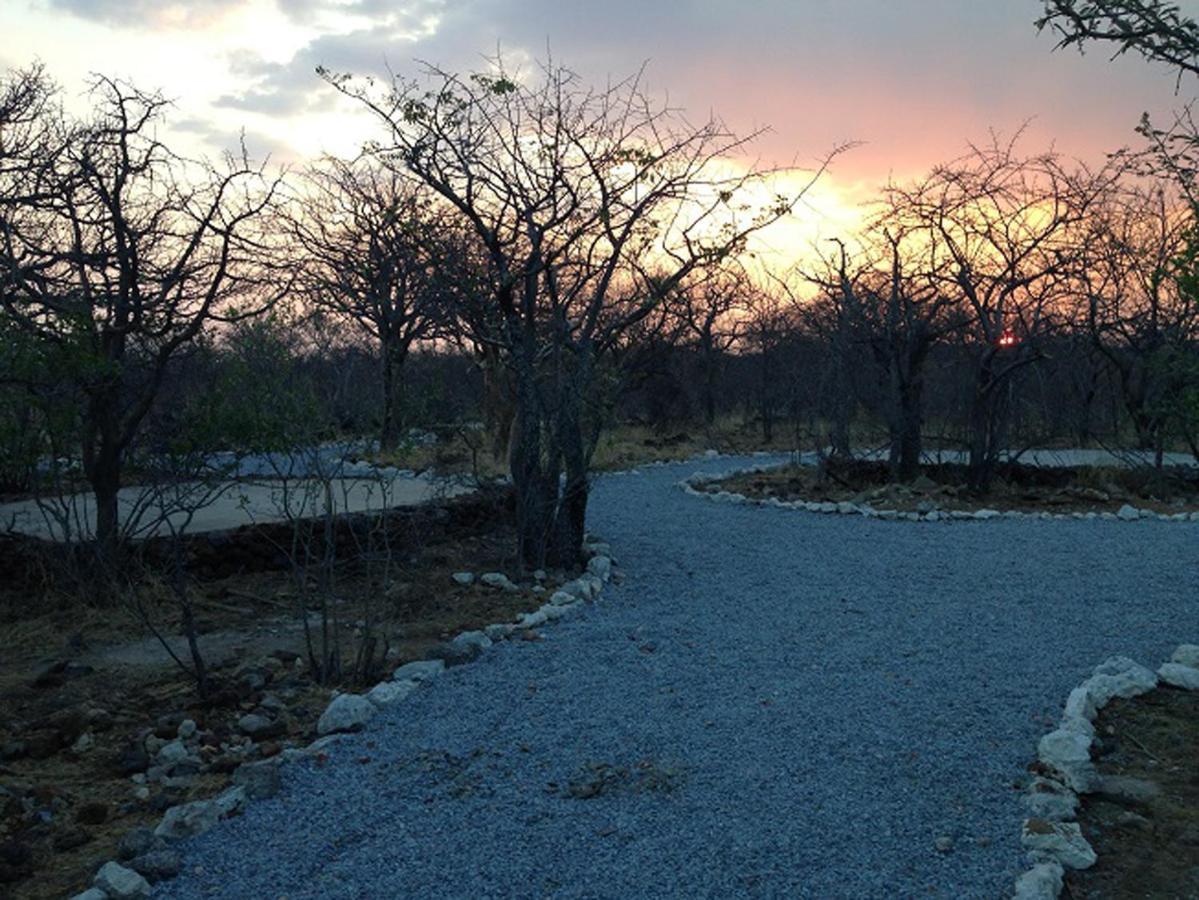 Etosha Village Campsite Okaukuejo Εξωτερικό φωτογραφία