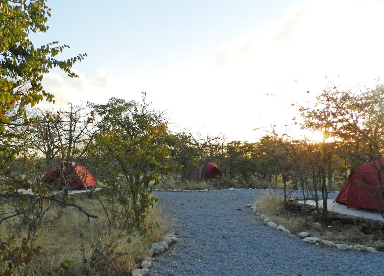 Etosha Village Campsite Okaukuejo Εξωτερικό φωτογραφία