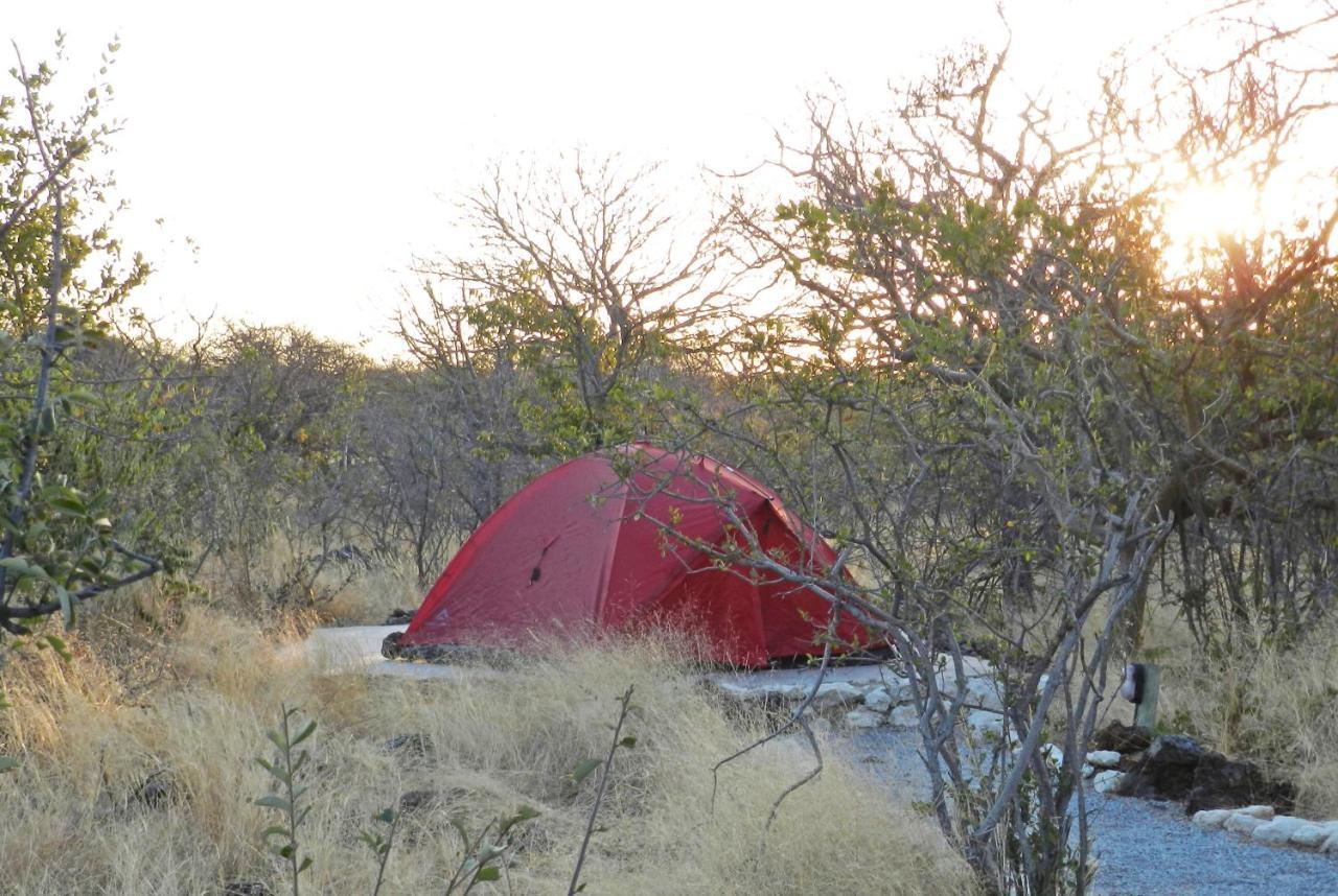 Etosha Village Campsite Okaukuejo Εξωτερικό φωτογραφία