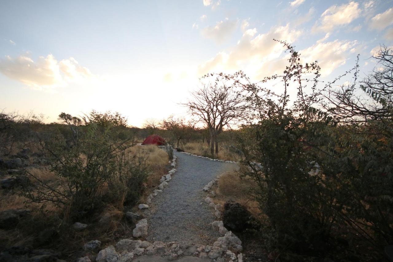 Etosha Village Campsite Okaukuejo Εξωτερικό φωτογραφία
