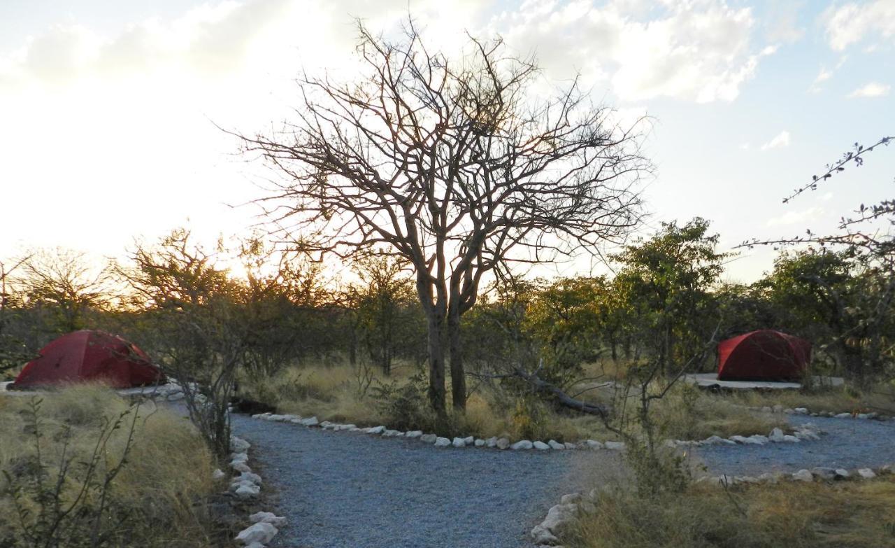 Etosha Village Campsite Okaukuejo Εξωτερικό φωτογραφία